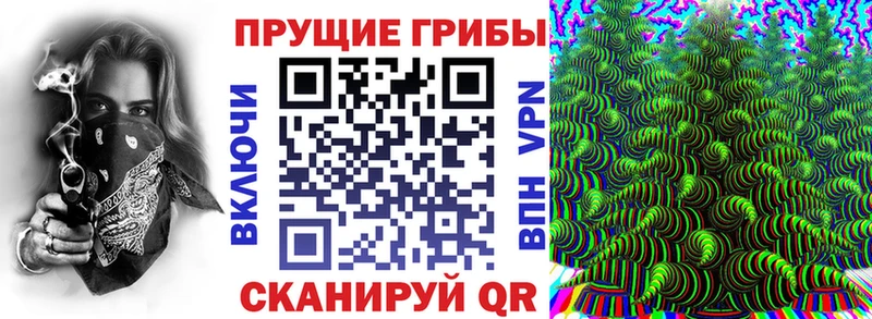 Псилоцибиновые грибы Psilocybe  гидра как войти  Буинск  где продают наркотики 